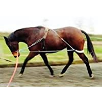 Cwell Equine Nuevo Horse Lunging Training Aid Blanco Talla única se Adapta a Todos.